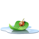 Pool Leaf Emoticon