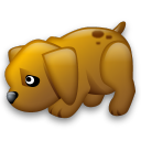 Dog Emoticon