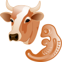 Cow Embryo Emoticon