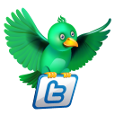 Twitter Flying Green Emoticon