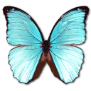 Morpho Menelaus Hubneri Emoticon