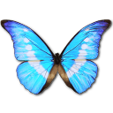 Morpho Helena Personal Emoticon