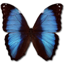 Morpho Deidamia Erica Emoticon