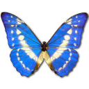 Morpho Cypres Emoticon