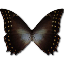 Morpho Amphitrion Emoticon