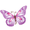 Butterfly Purple Emoticon