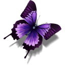 Other Butterfly Emoticon