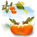 Fruits Persimmon Emoticon