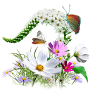 Flowers Wildflowers Emoticon