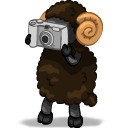 Photographer Emoticon