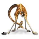 Madagascar Melman Emoticon