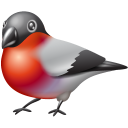 Bullfinch Emoticon