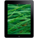 Ipad Front Grass Background Emoticon