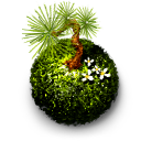 Kokedama Moss Ball Emoticon