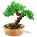 Bonsai Emoticon