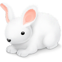 Rabbit Emoticon