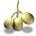 Grapes Emoticon