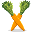 Carrots Emoticon