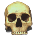 Skull Emoticon