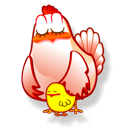 Gallina Emoticon