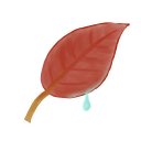 Leaf Emoticon