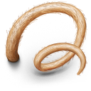 Pigs Tail Emoticon