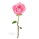 Rose Emoticon