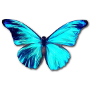 Rhetenor Morpho Emoticon