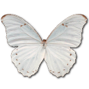 Morpho Polyphemus Emoticon