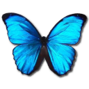 Morpho Menelaus Emoticon