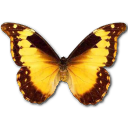 Morpho Diana Emoticon