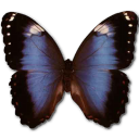 Morpho Achilleana Emoticon