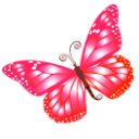 Butterfly Pink Emoticon