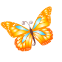 Butterfly Orange Emoticon