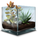 Succulent Terrarium Emoticon