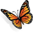 Butterfly Emoticon