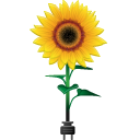 Sunflower Emoticon