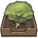 Tree In An Inbox Emoticon