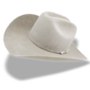 Hat Cowboy White Emoticon