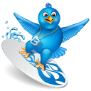 Twitter Surf Emoticon