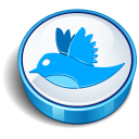 Twitter Bird Sign Emoticon