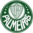 Palmeiras Emoticon