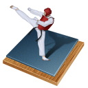 Taekwondo Emoticon